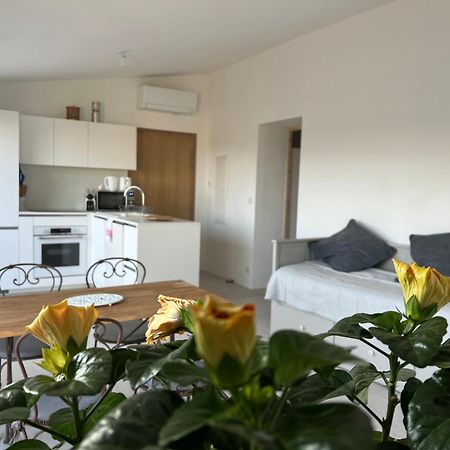Au Coeur De Seillans, Charmant Logement, Grande Terrasse Et Panorama Buitenkant foto